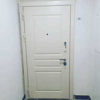 Фото двери №80